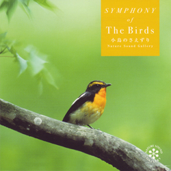 symphony of the birds_s.jpg